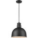 R Series 1 Light 12 inch Satin Black Indoor Pendant Ceiling Light